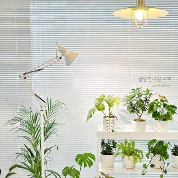식물등 스탠드 LED 식물 성장 조명 올바른 생장등 사용법