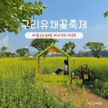 2024 구리유채꽃축제 기본정보 구리한강 시민공원 텐트 주차장