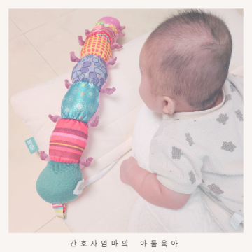 백일아기장난감 3개월 4개월 아기 신생아 터미타임 장난감 라마즈 애벌레