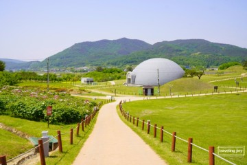 경북 의성 가볼만한곳 의성 조문국 사적지 의성 작약꽃 5월 여행