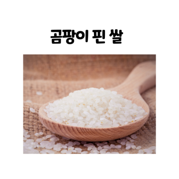 곰팡이 핀 쌀 버리기 쌀곰팡이 먹으면? 올바른 쌀보관 방법