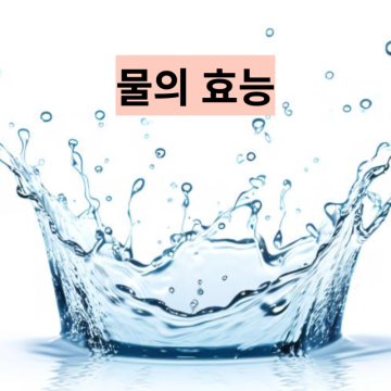 물중독 vs 탈수증상, 물의효능 물하루권장량 계산법
