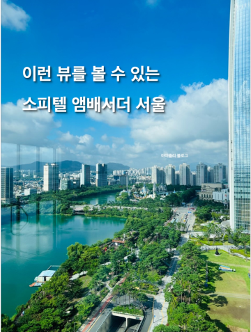 소피텔 앰배서더 서울 럭셔리 레이크룸 수영장 룸서비스 조식 내돈내산 할인 후기