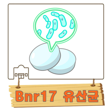 BNR17 유산균 효능 가격 복용법 정리