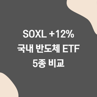 SOXL ETF 12% 급등, 국내 AI 반도체 관련주 ETF 비교