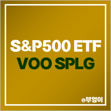 S&P500 ETF 투자 방법 VOO 주가 SPLG 미국 주식 소액 재테크