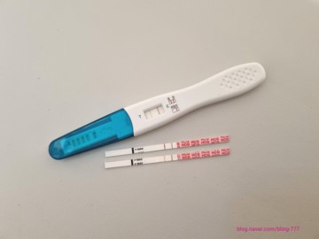 임신초기 4주 5주차 초기증상 - 임신테스트기 두줄 ♡