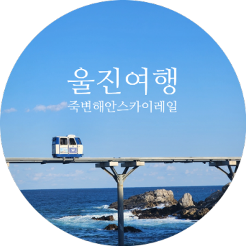 [울진여행] 기차타고 바다여행 죽변해안스카이레일 / 울진대게빵 / 울진맛집 예원