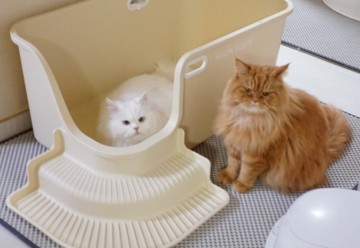 고양이대형화장실 소심한호랑이 코너스텝화장실