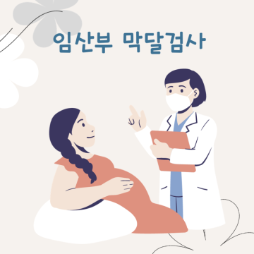 막달검사 결과 비용 후기 임신35주 임산부 내진