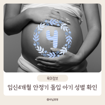 임신중기 4개월 증상 13주 14주 15주 16주 태아 안정기 태동 아기 성별 확인시기