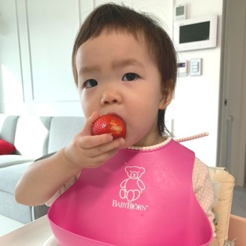 아기 과일 시기 딸기 언제부터 주의사항