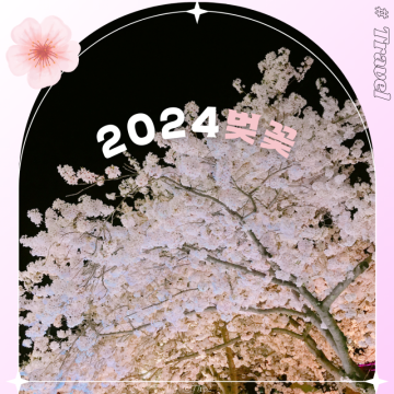 2024 벚꽃 개화시기 명소 만개 꽃말 여행지 추천