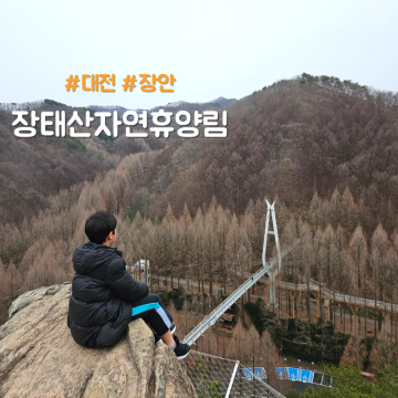 대전 아이와 가볼만한곳 장태산자연휴양림 출렁다리 숲속어드벤처 당나귀체험