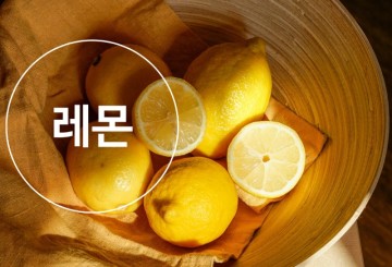 레몬 효능 레몬즙 레몬물 레몬 디톡스 효과