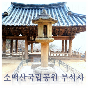 소백산국립공원 영주 부석사 무량수전 주차꿀팁 사찰추천