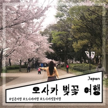 벚꽃의 나라 일본 벚꽃 개화시기 및 오사카 벚꽃 여행 명소 추천