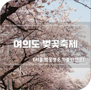 2024 여의도 윤중로 벚꽃축제 일정 서울 벚꽃명소 가볼만한곳