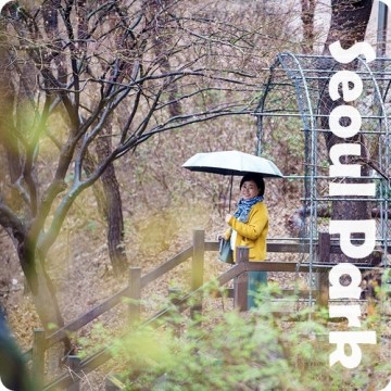 서울 비오는날 데이트 대학로 마로니에공원 낙산공원 봄꽃구경 (개나리, 목련, 매화, 산수유)