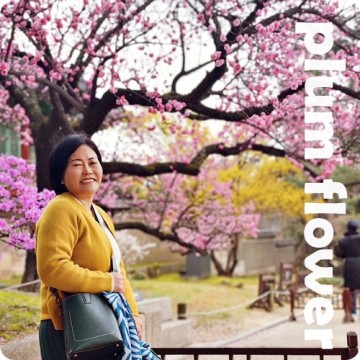 서울 5대 궁궐 창덕궁 홍매화 미선나무 개나리 목련 봄꽃구경