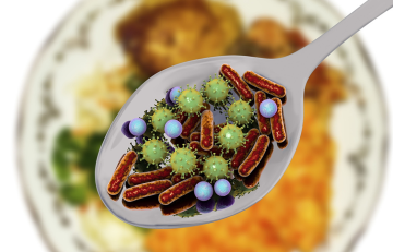 노로바이러스증상 및 원인 : 전염, 치료, 음식