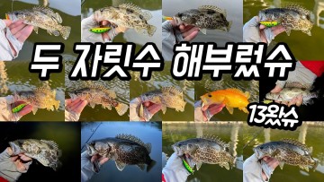 [20220531] 쏘가리낚시 두 자릿수 해부렀슈~ | 루어낚시 | lure fishing | fishing in Korea