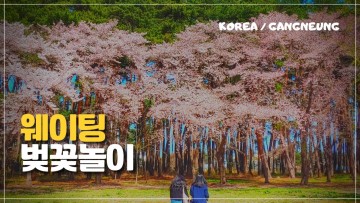 강릉 짬뽕 순두부 웨이팅 의외의 꿀팁[국내여행 EP.44]