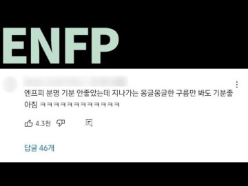 [MBTI 성격유형] ENFP 엔프피 특징 팩폭 댓글 모음
