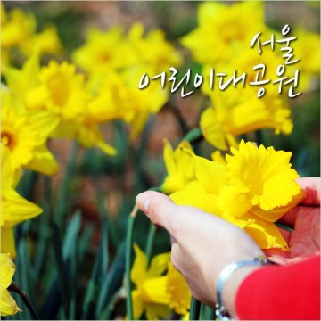 서울어린이대공원 벚꽃길 아이와 서울 갈만한곳