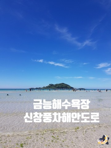 제주여행 애월 금능해수욕장 신창풍차해안도로 경치 예술♥