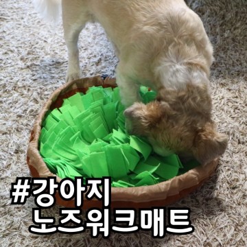 [강아지 스너플매트] 핏펫몰 무무 휴대용 노즈워크매트