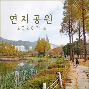 김해 연지공원 가을 소풍