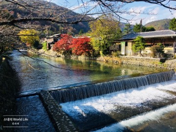 랜선 가을 단풍 여행, 일본 교토의 단풍 명소로 떠나보자! 아라시야마嵐山 Arashiyama
