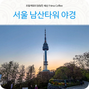 서울 남산타워 산책로 따라서 만난 남산야경