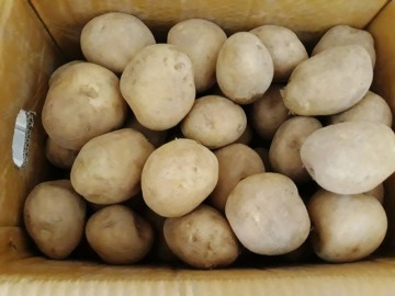 감자가격 보관법 감자효능 부작용 감자칩 만드는 법