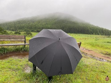 튼튼한 카본 장우산. 가벼운 초경량 대형 고급우산을 경험.