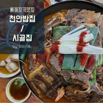 [천안밥집]성정동 '시골집' / 천안대표 뼈해장국! 얼보맛을 아시나요?