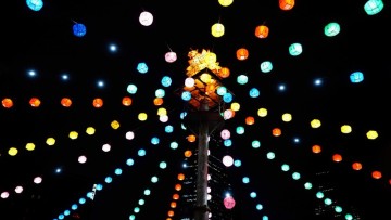 한국관광100선 서울 야간 드라이브코스  봉은사 연꽃축제 꽃구경 야경 명소
