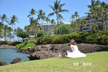 하와이 신혼여행 스냅사진 찍기 좋은 하와이 빅아일랜드 힐튼 와이콜로아 호텔