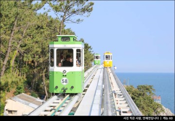 부산 해운대 여행 블루라인파크 스카이캡슐 해변열차 미포 청사포