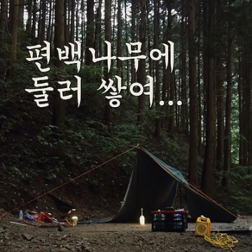 전남 장성 캠핑장 | 솔로캠핑, 광주근교, 편백힐 치유의 숲