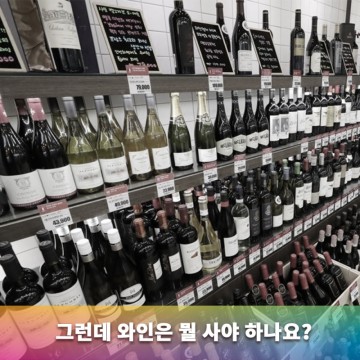 [와인뉴비④] 그런데 와인은 뭘 사야하나요?