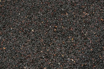 블랙푸드 흑미와 찰흑미 효능 및 영양성분