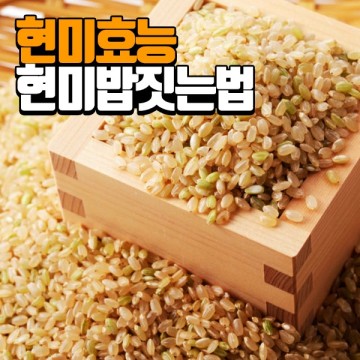 현미의 신비한 효능(발아현미,현미밥)