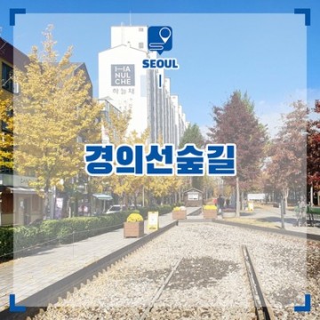 홍대 가볼만한곳 경의선숲길 책거리 까지 서울 걷기 좋은길 나들이