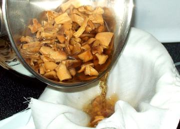 말굽버섯 효능 7가지와 말굽버섯 먹는법