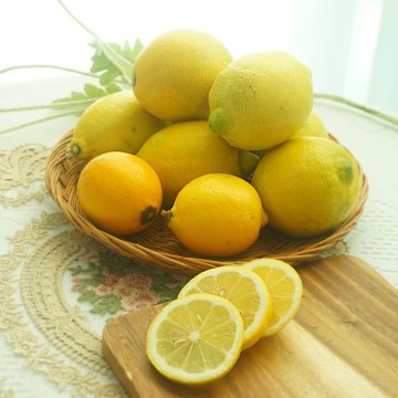 레몬 보관법, 레몬 고르는법과 숙성법