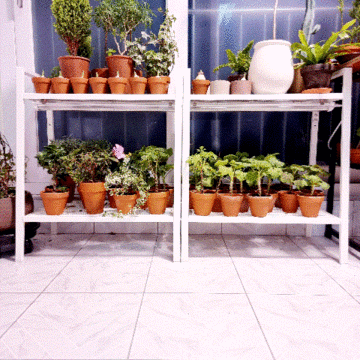 [풀나옴]식물키우기에 필요한 식물조명/식물등/식물LED 이케아식물선반에 설치완료