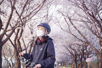 부산 삼락생태공원 벚꽃 라이딩 🌸🚴 (낙동제방벚꽃길)