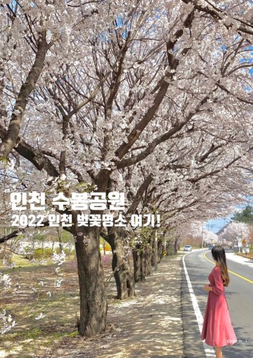 인천수봉공원 월미공원, 2022 인천벚꽃명소는 여기!